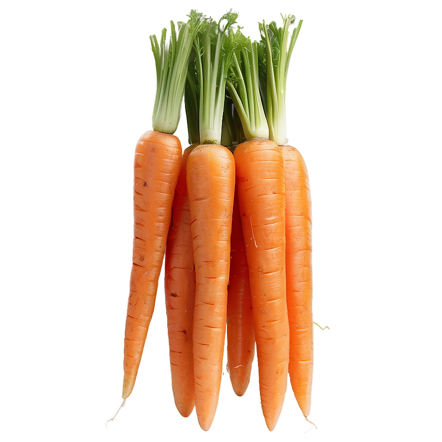 Shredded Carrot Png Bxx11