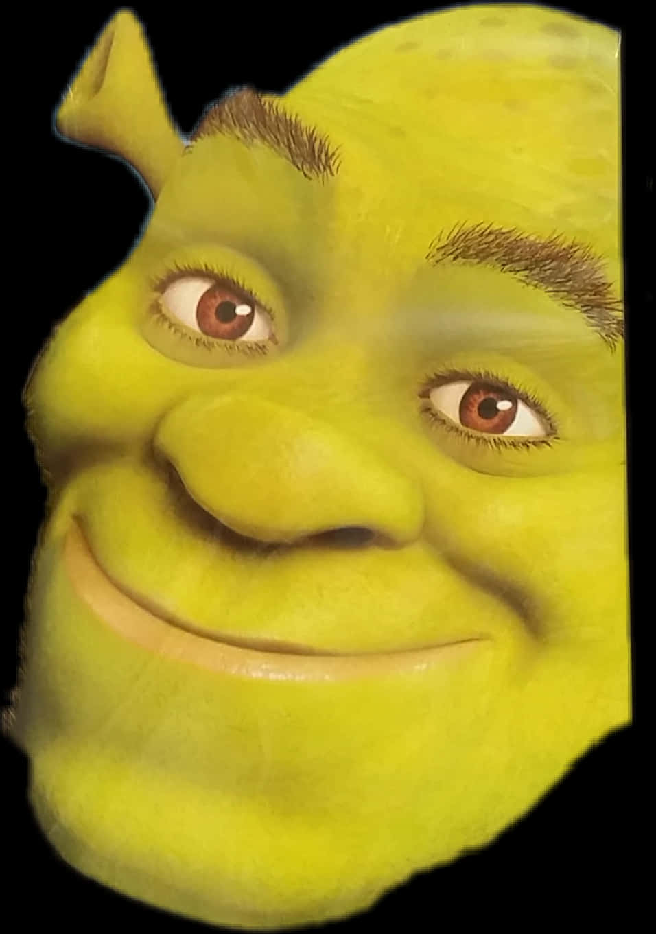 Shrek Character Close Up