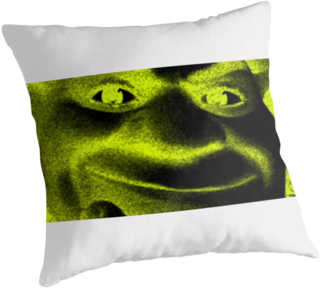 Shrek Face Cushion Design