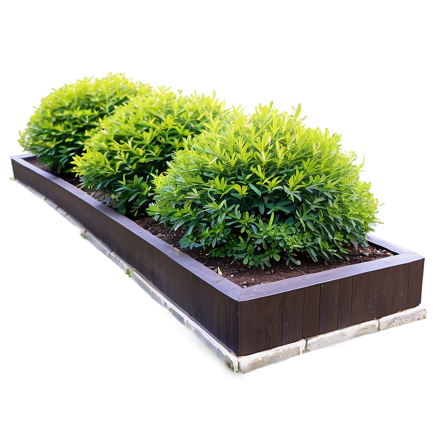 Shrub In Garden Bed Png 56