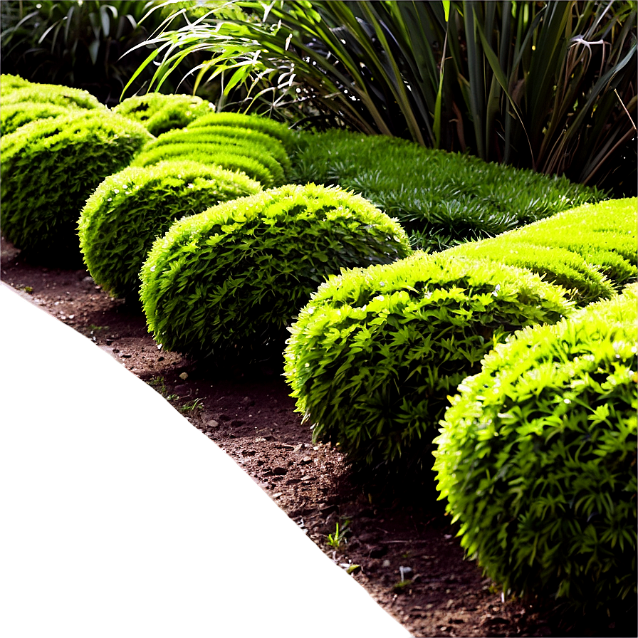 Shrub Pathway Png 9