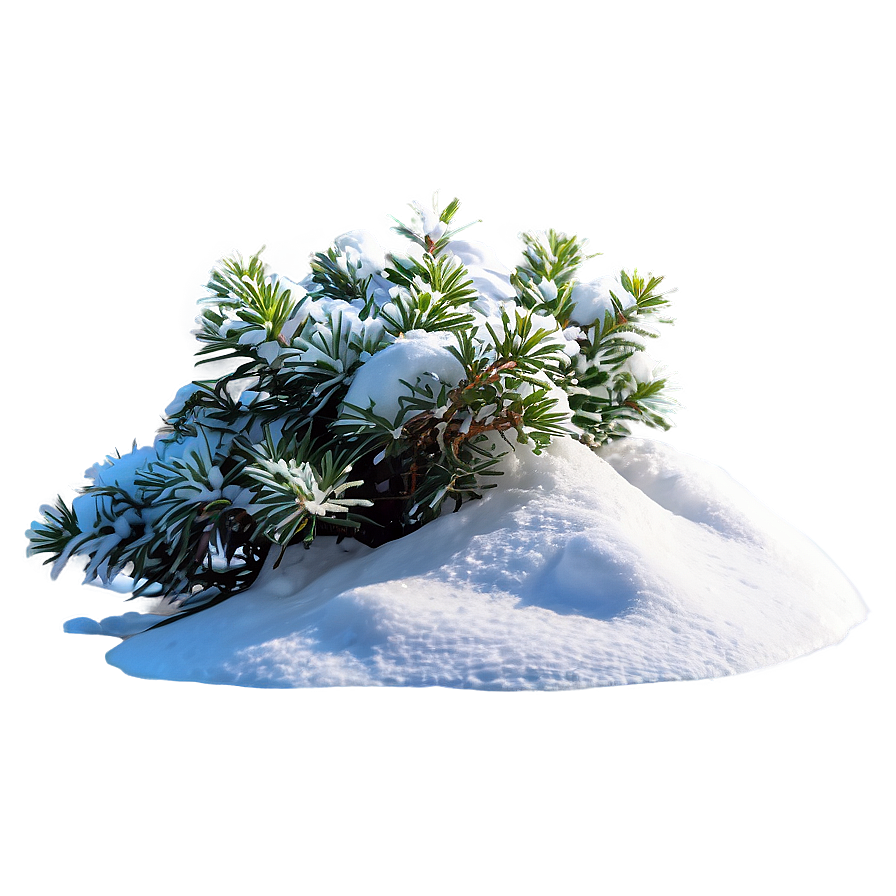 Shrub With Snow Png Aox56