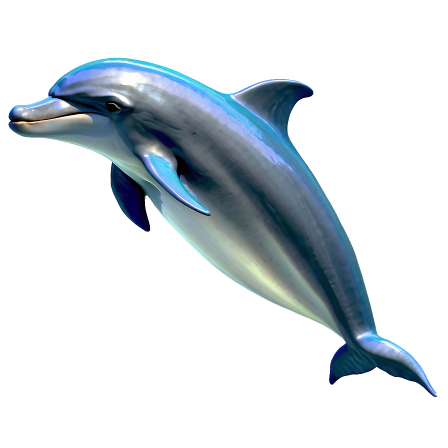 Shy Cartoon Dolphin Png Pfq48