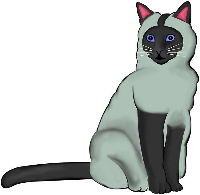 Siamese Cat Illustration