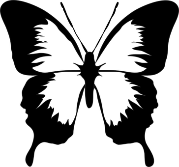 Silhouette Butterfly Outline