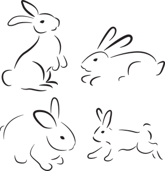 Silhouette Rabbits Black Background