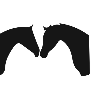 Silhouetted Bat Wings Spread