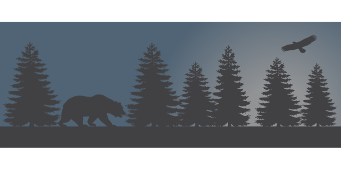 Silhouetted Bearin Forestat Dusk