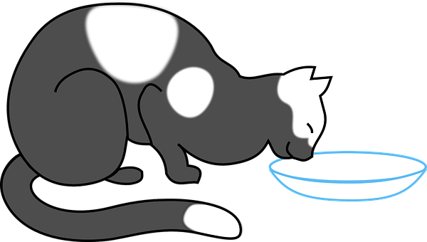 Silhouetted Cat Drinking Water