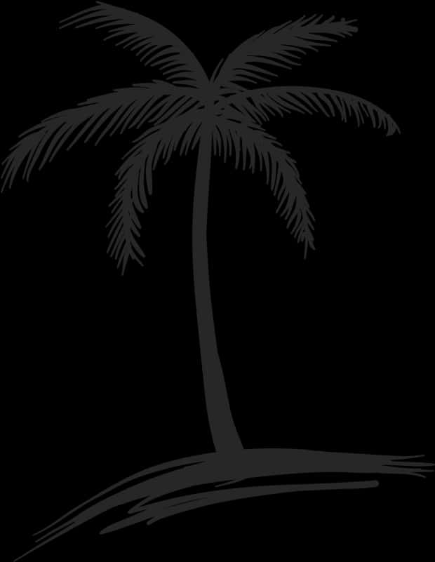 Silhouetted Coconut Tree Graphic