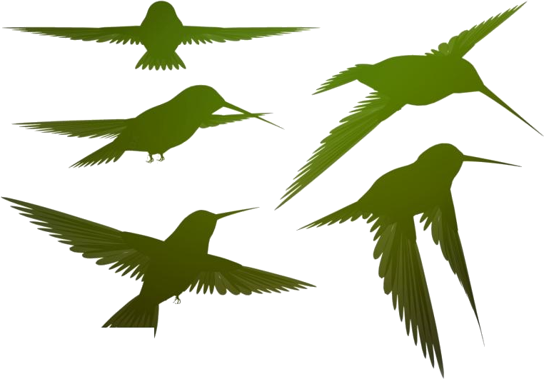 Silhouetted Flying Birds Vector