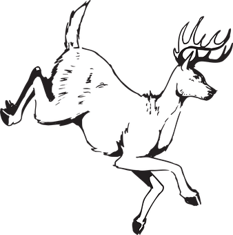 Silhouetted Leaping Deer