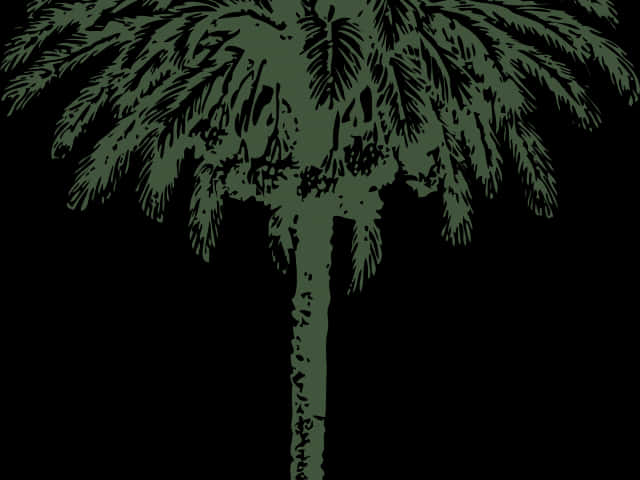 Silhouetted Palm Tree Artwork