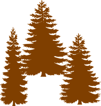 Silhouetted Pine Trees Graphic