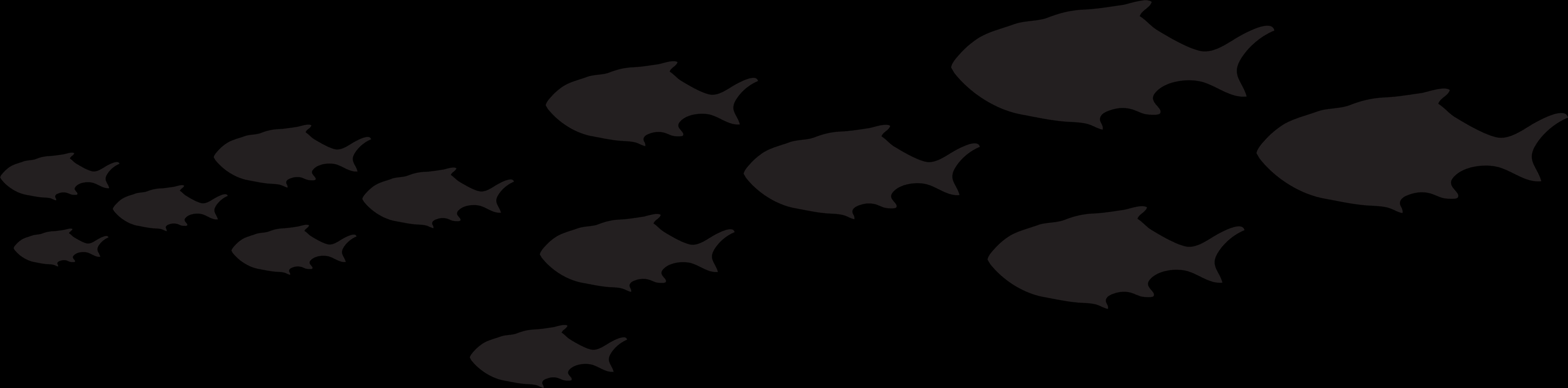 Silhouetted Schoolof Fish Dark Background