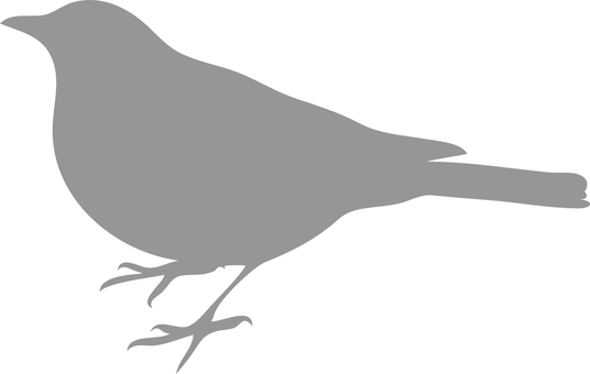 Silhouetteof Bird