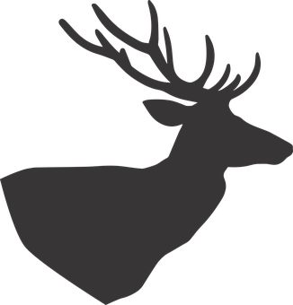 Silhouetteof Deer Profile