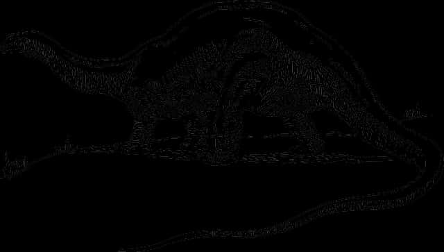 Silhouetteof Dinosaur