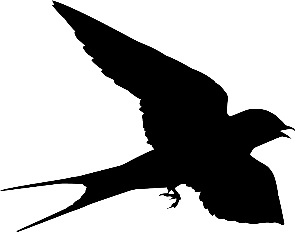 Silhouetteof Flying Black Bird