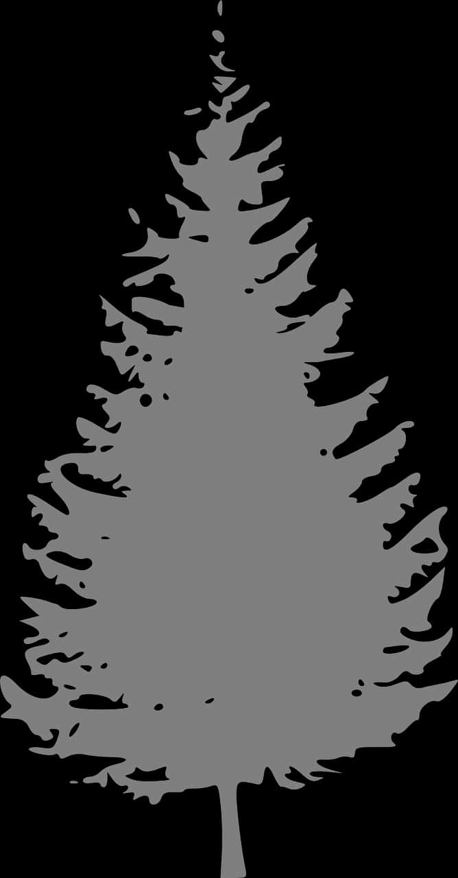 Silhouetteof Pine Tree