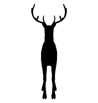 Silhouetteof Reindeer Standing