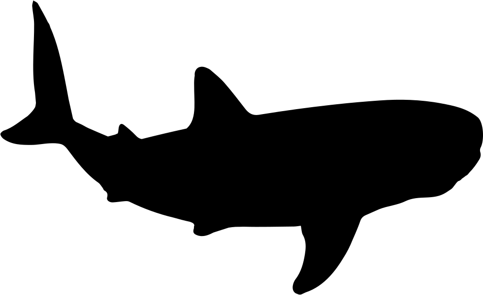 Silhouetteof Shark