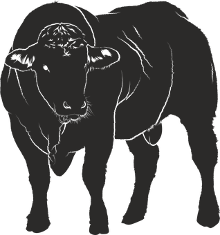 Silhouetteof Standing Bull