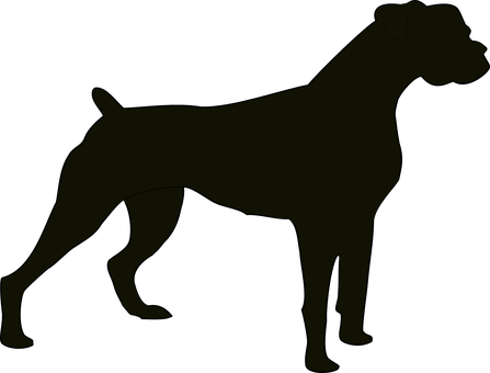 Silhouetteof Standing Dog