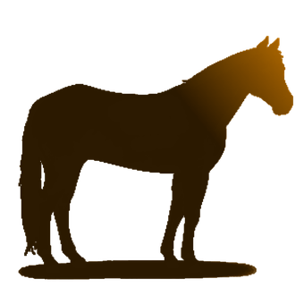 Silhouetteof Standing Horse