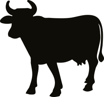 Silhouetteofa Bull