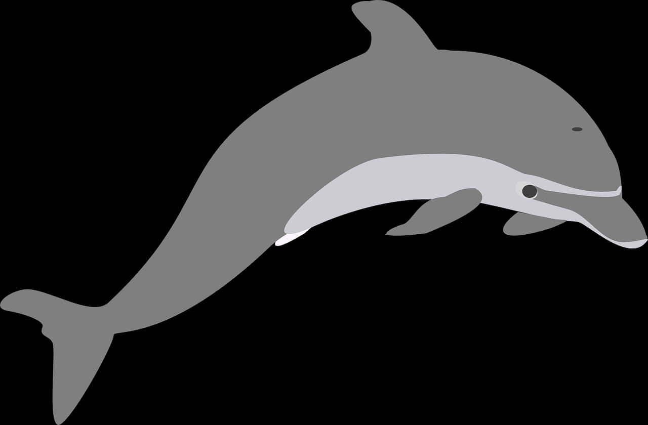 Silhouetteofa Dolphin