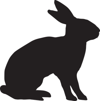 Silhouetteofa Rabbit