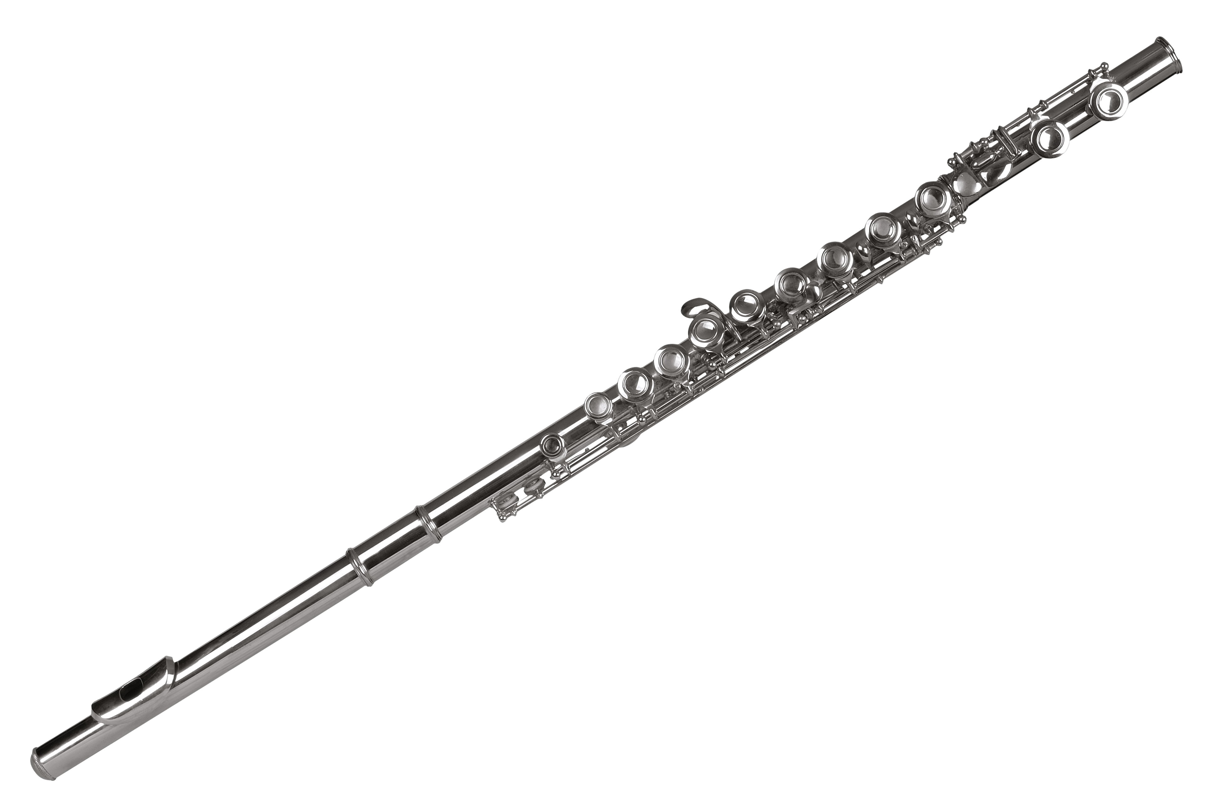 Silver Fluteon Black Background