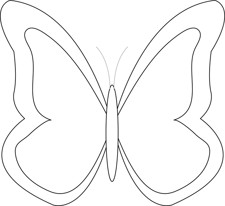 Simple Butterfly Outline Graphic