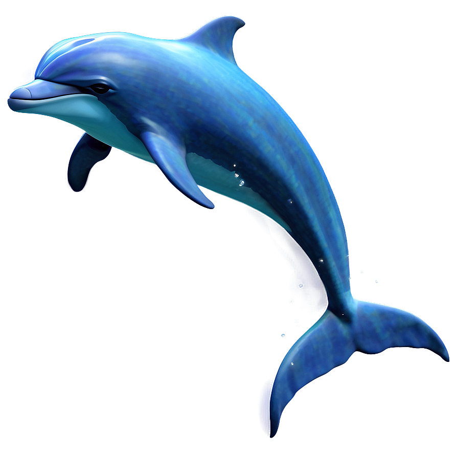 Simple Dolphin Png 05062024