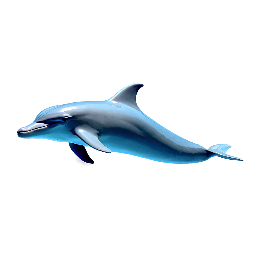 Simple Dolphin Png Rfu99