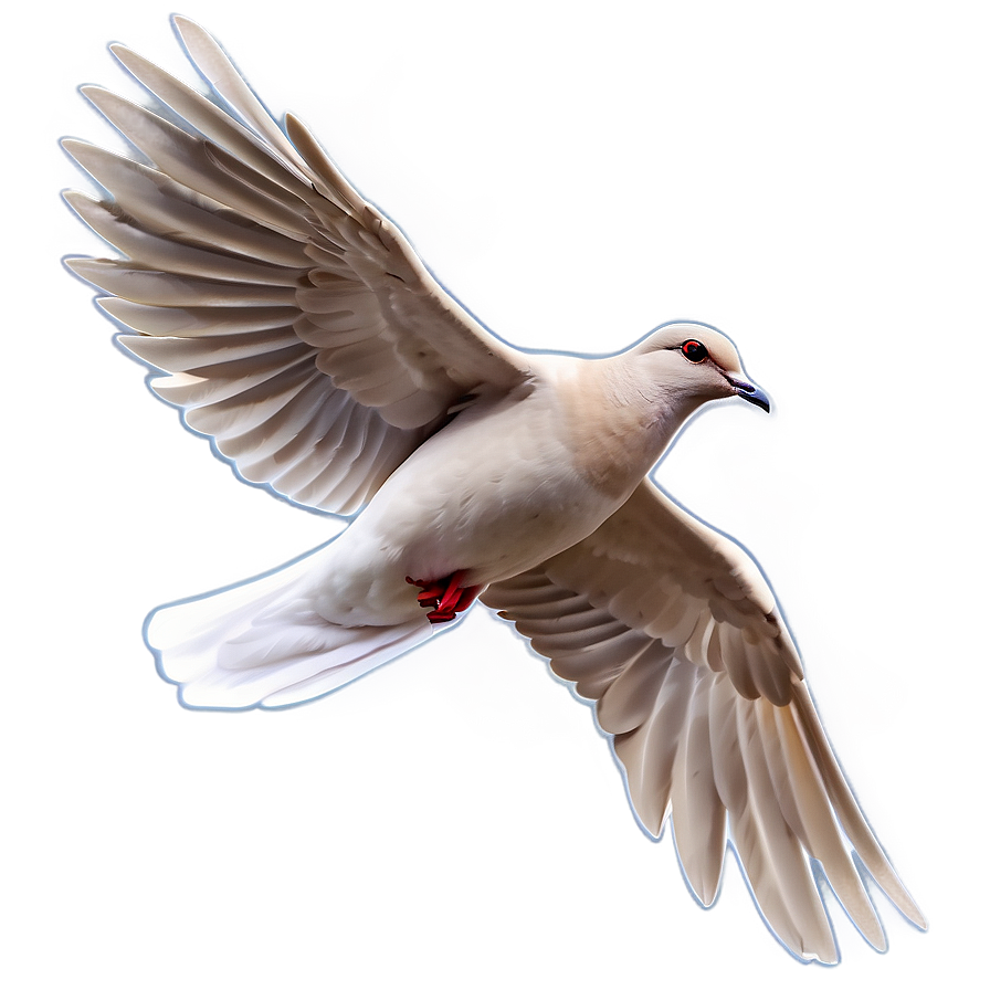 Simple Dove Clipart Png Dsg