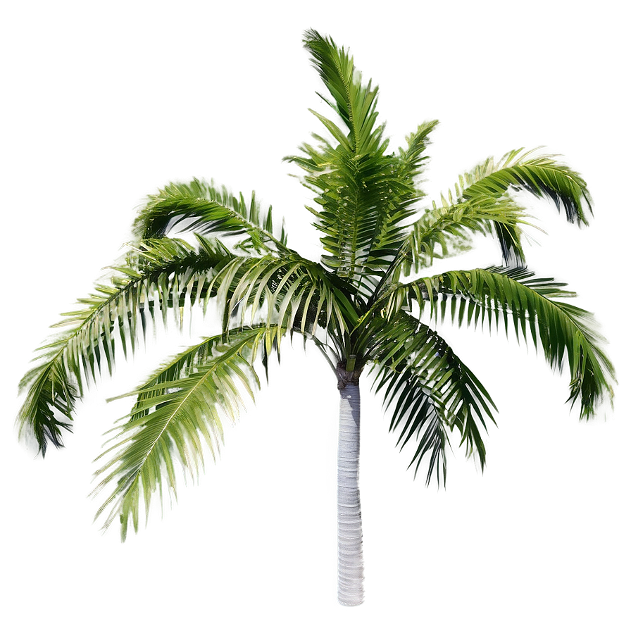 Simple Palm Tree Png 91