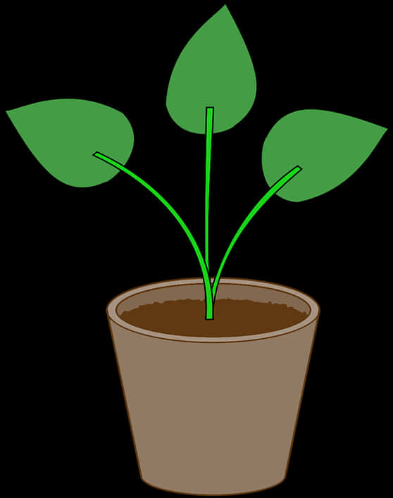 Simple Plantin Pot Illustration