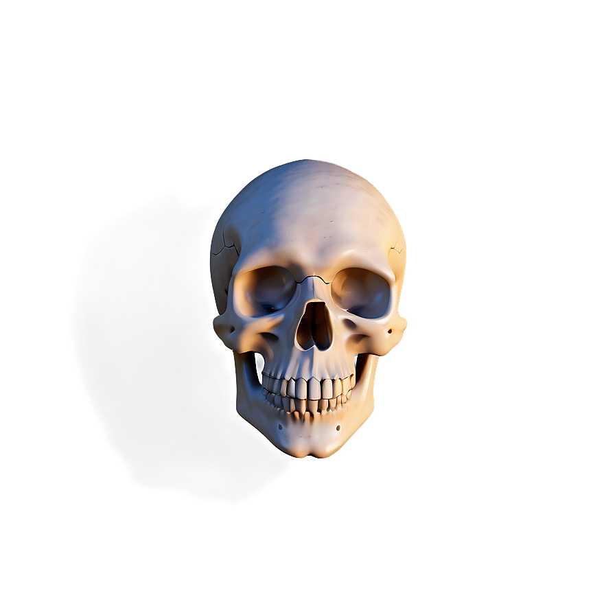 Simple Skull Doodle Png 97