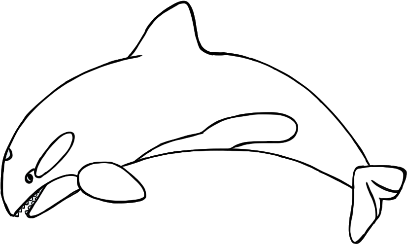 Simple Whale Line Art