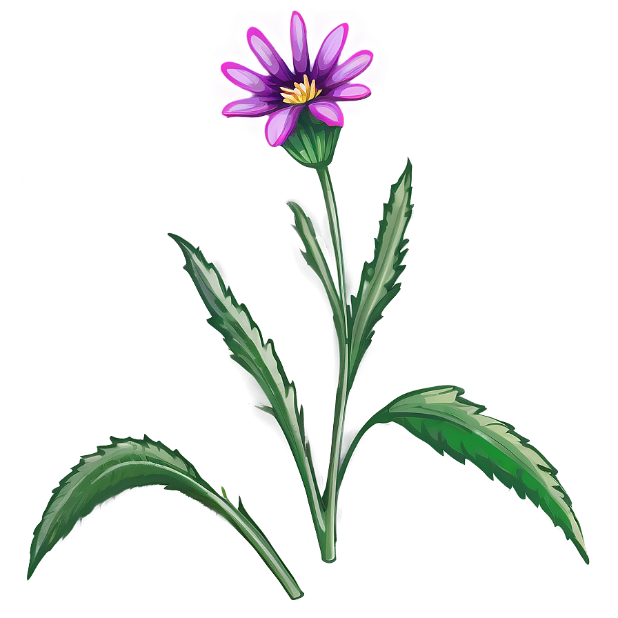 Simple Wildflower Png Wno