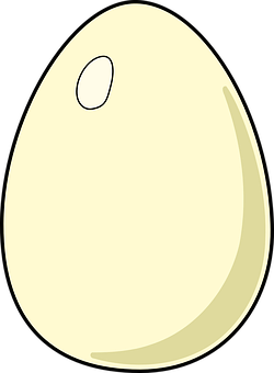 Simplified Cartoon Egg Illustration