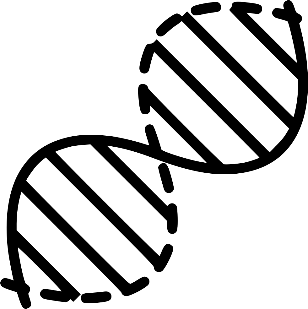 Simplified D N A Structure Illustration