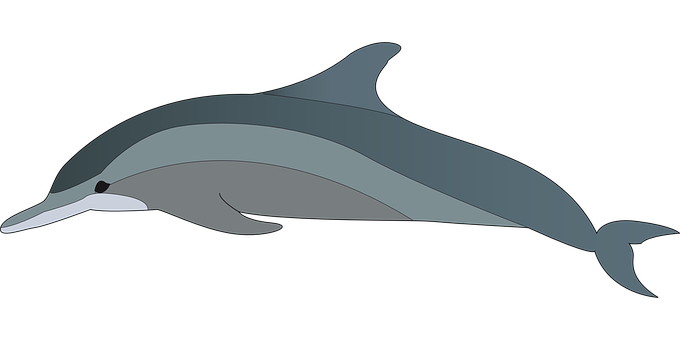 Simplified Dolphin Illustration