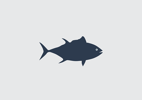 Simplified Fish Silhouette Graphic