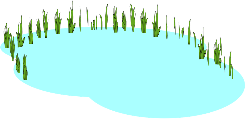 Simplified Lake Graphic