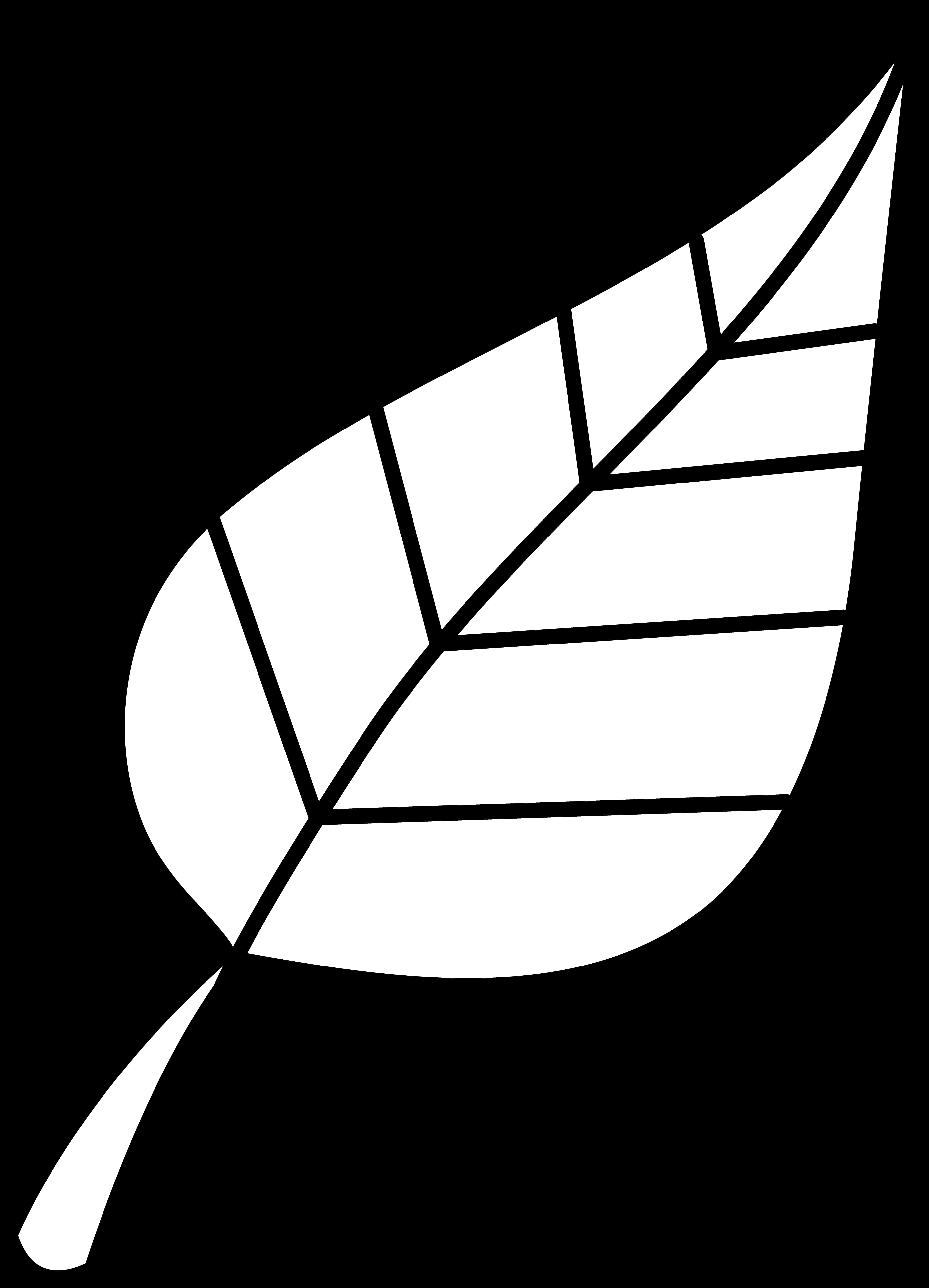 Simplified Leaf Graphic Blackand White