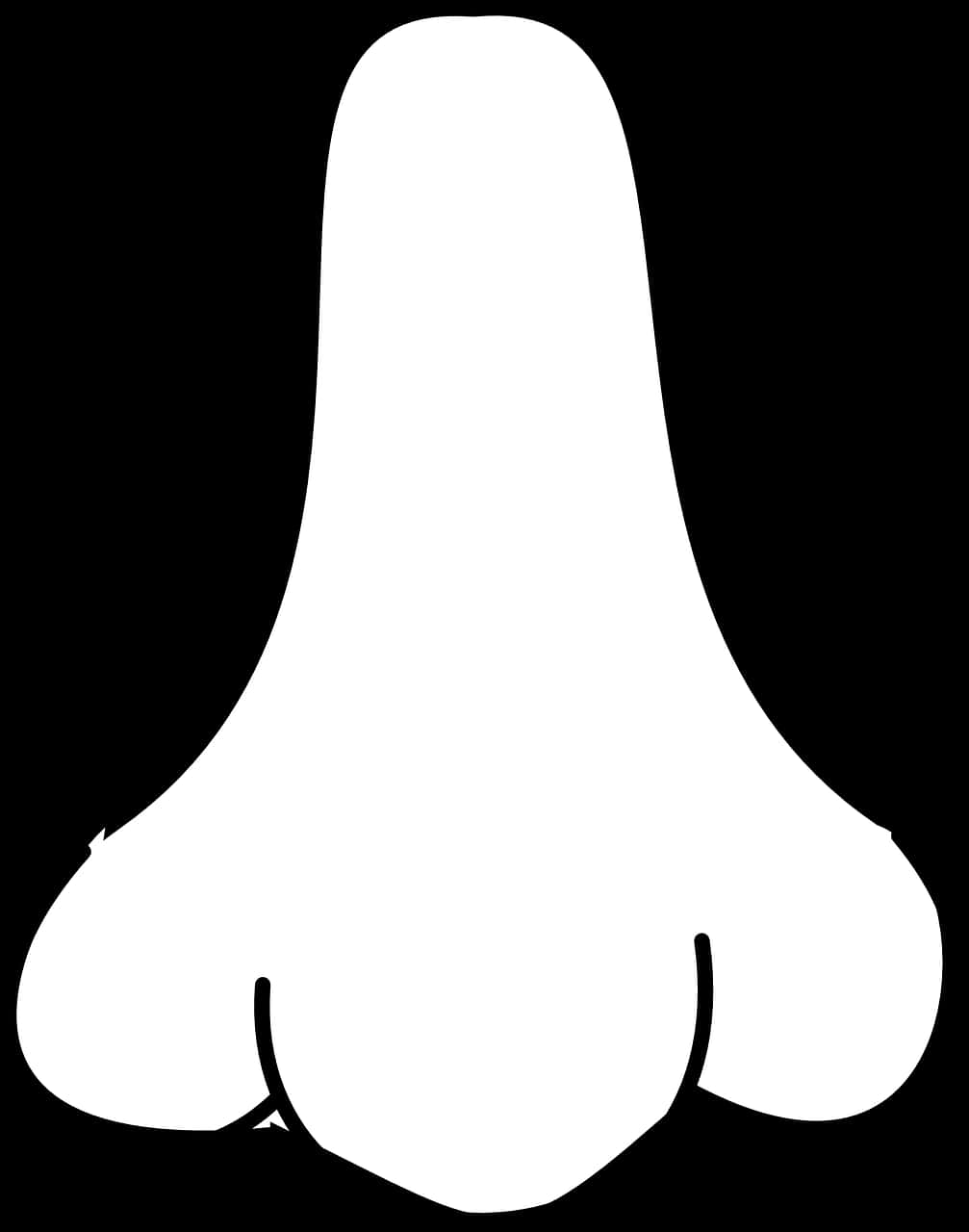 Simplified Nose Outline Graphic