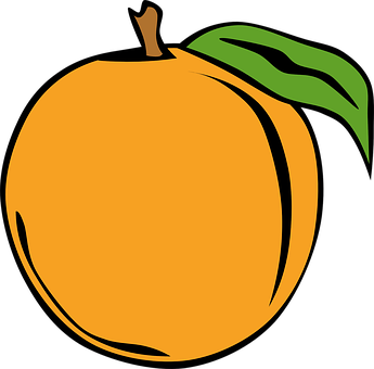 Simplified Orange Illustration